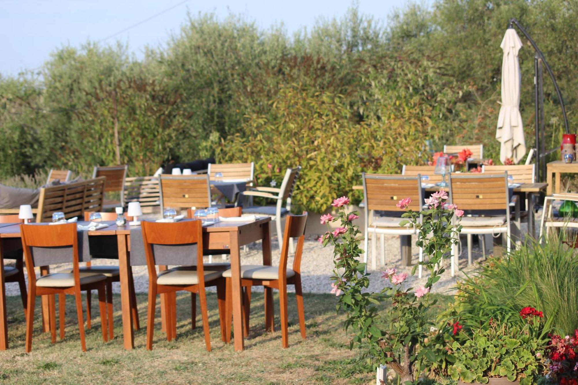 Gastronomic B&B Carlocarla Monte San Pietrangeli 外观 照片